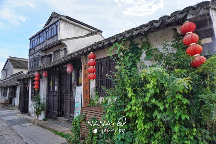 昆明动物园失踪猫咪已找到1只